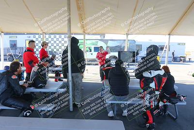 media/Jan-13-2025-Ducati Revs (Mon) [[8d64cb47d9]]/1-Around the Pits/